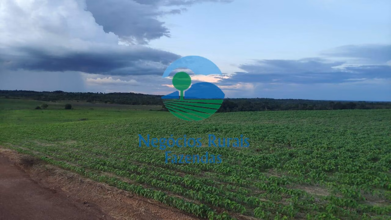 Fazenda de 1.108 ha em Dois Irmãos do Tocantins, TO