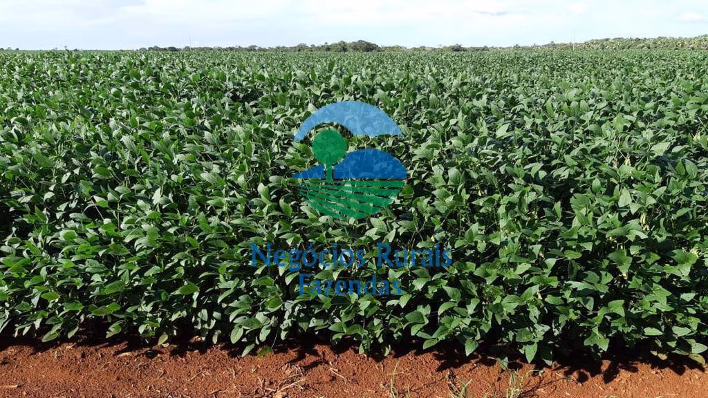 Fazenda de 1.108 ha em Dois Irmãos do Tocantins, TO