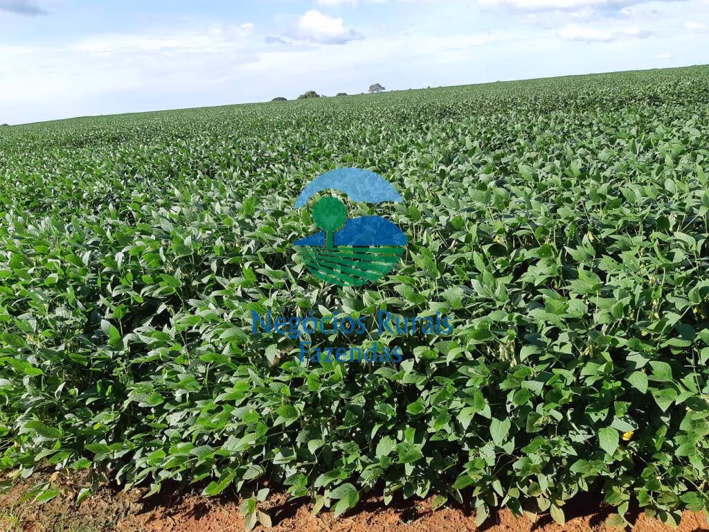 Fazenda de 1.108 ha em Dois Irmãos do Tocantins, TO