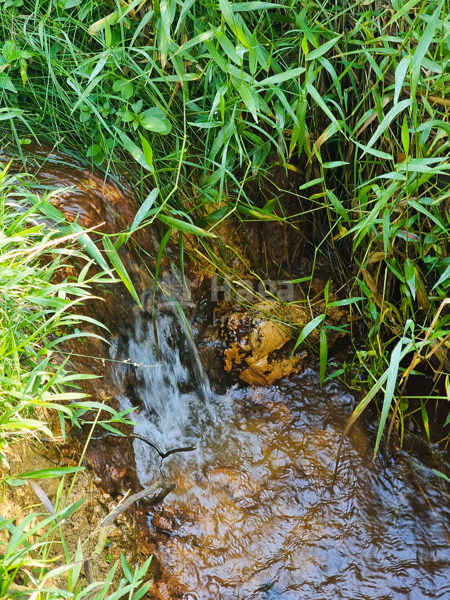 Fazenda de 4.000 m² em Barra Velha, SC