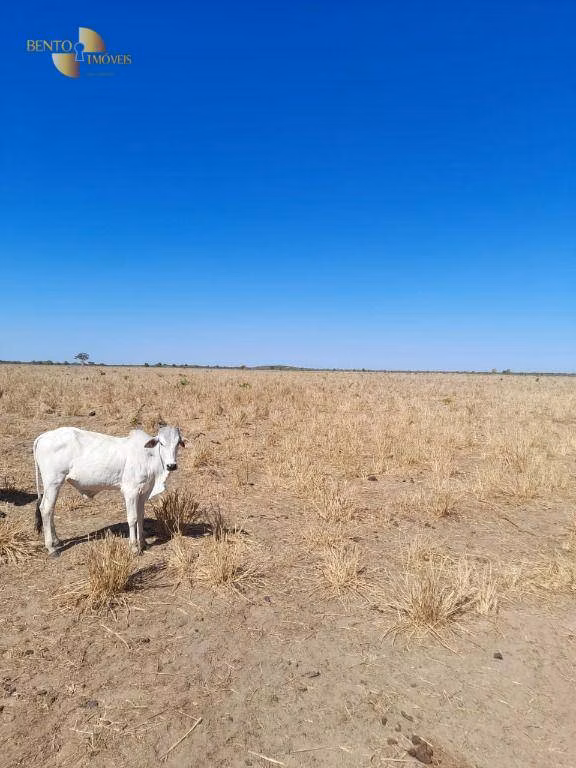 Fazenda de 11.900 ha em Ribeirão Cascalheira, MT
