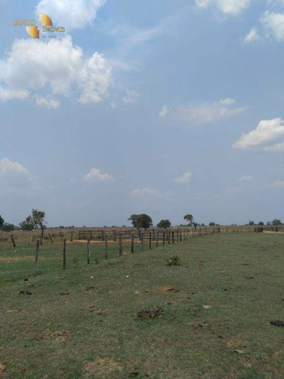 Fazenda de 11.900 ha em Ribeirão Cascalheira, MT