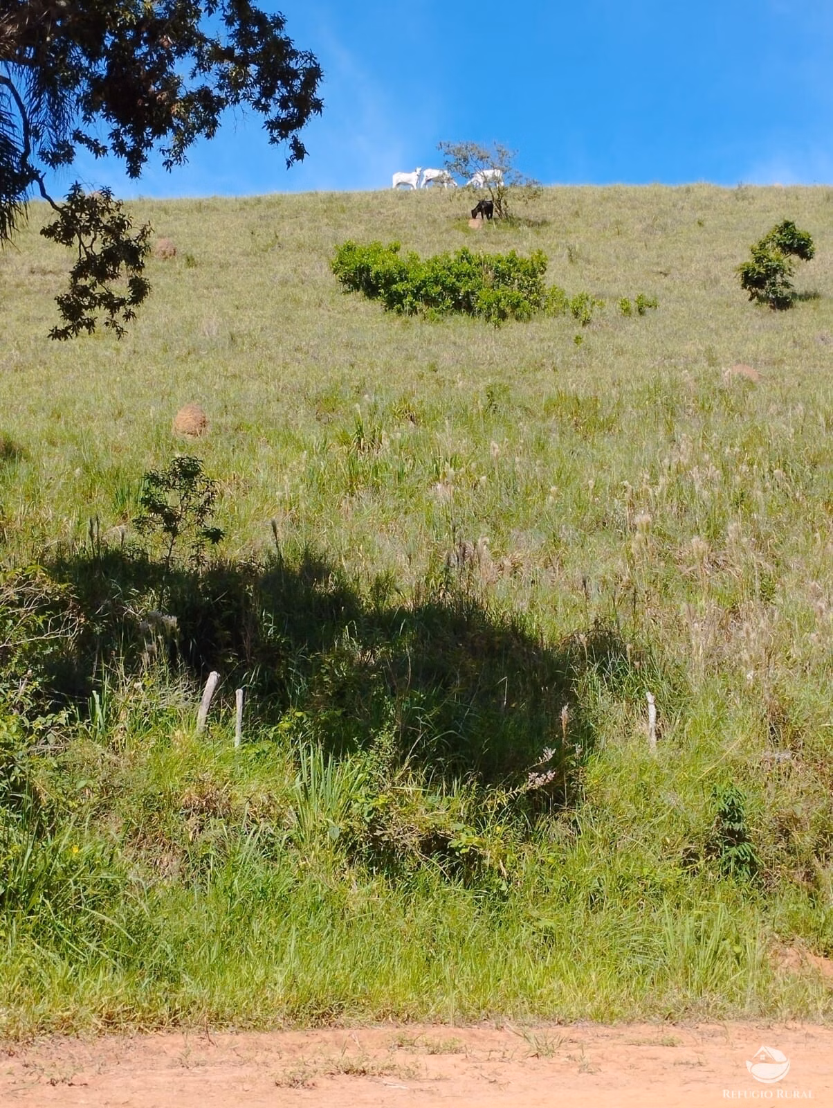 Fazenda de 297 ha em Igaratá, SP