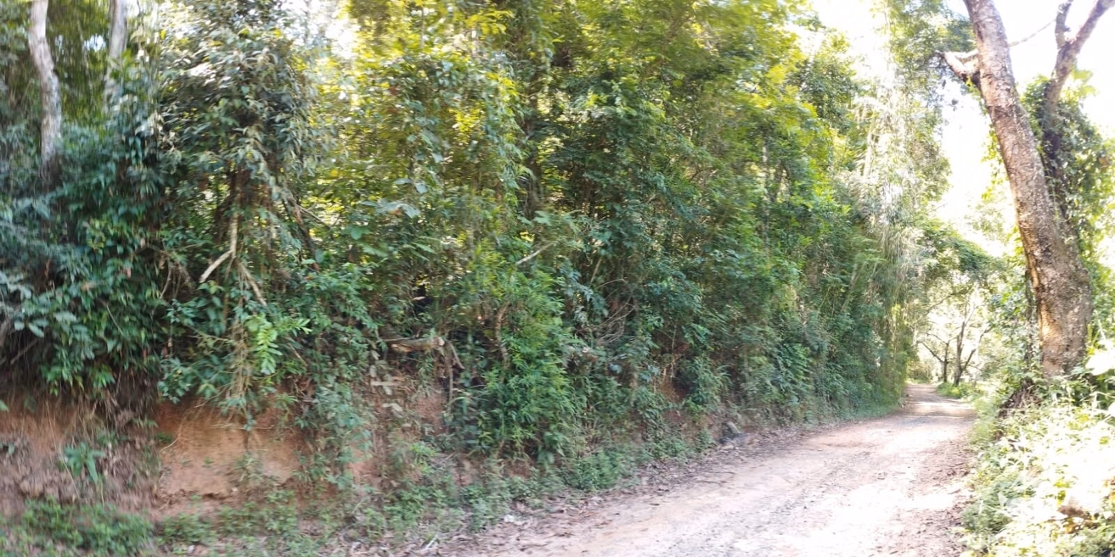 Fazenda de 297 ha em Igaratá, SP