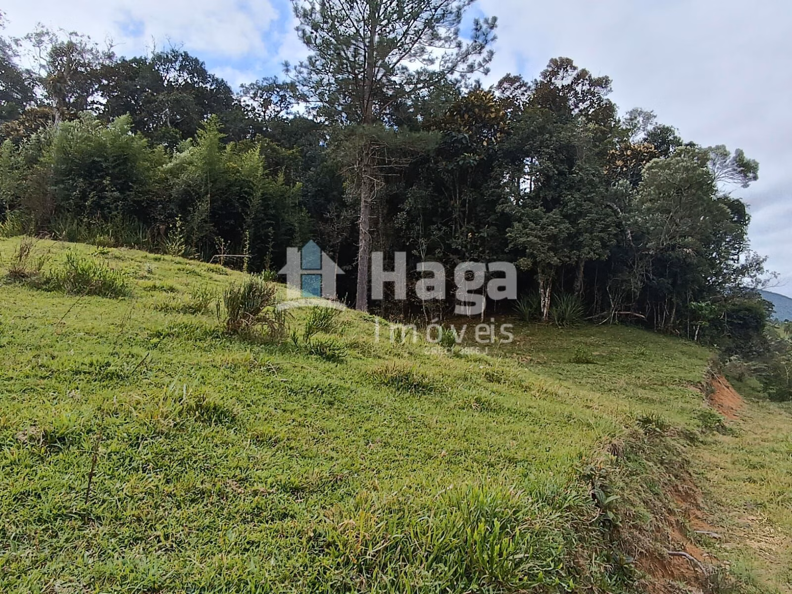 Country home of 5 acres in Angelina, SC, Brazil