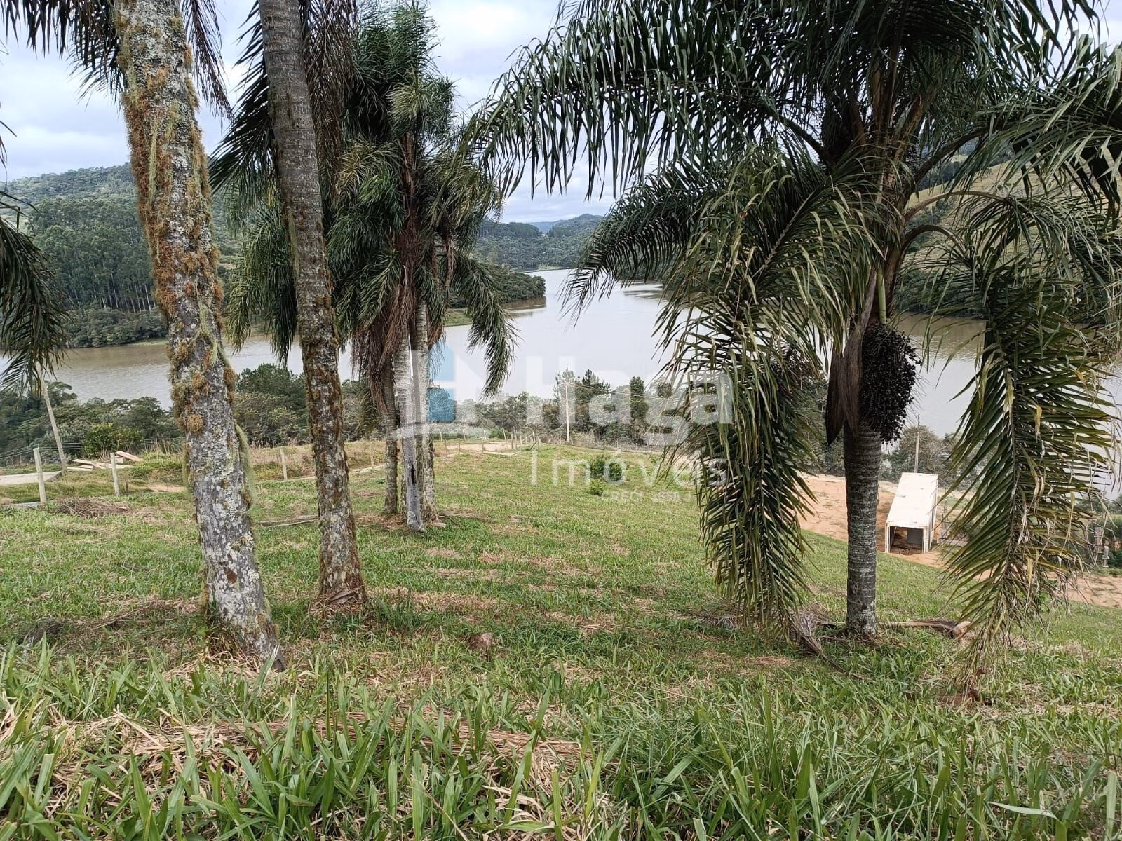 Country home of 5 acres in Angelina, SC, Brazil