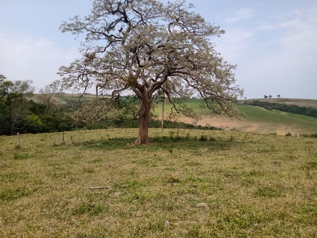Sítio de 17 ha em São Miguel Arcanjo, SP