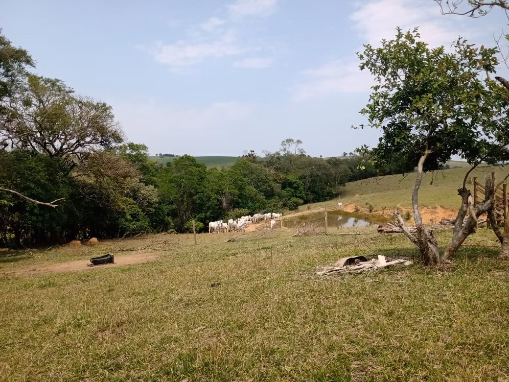 Sítio de 17 ha em São Miguel Arcanjo, SP