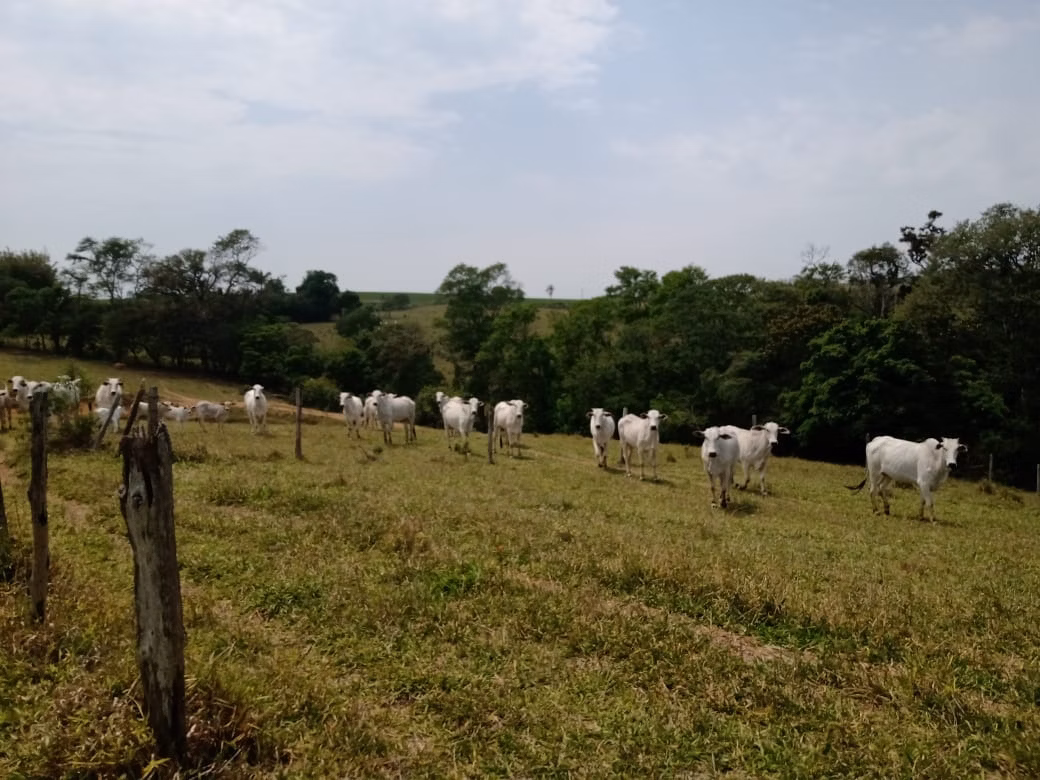 Sítio de 17 ha em São Miguel Arcanjo, SP