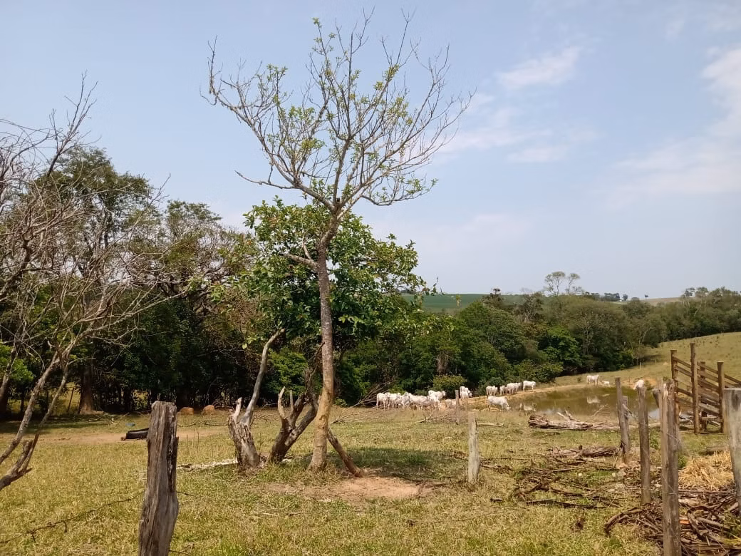 Sítio de 17 ha em São Miguel Arcanjo, SP