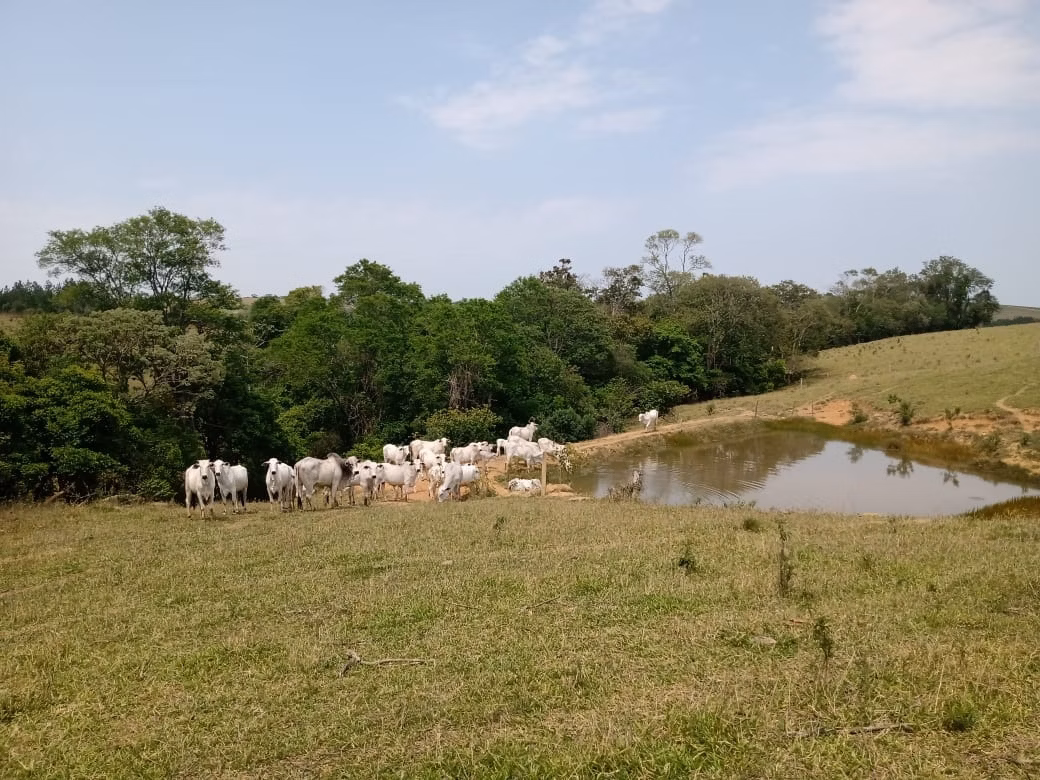 Sítio de 17 ha em São Miguel Arcanjo, SP