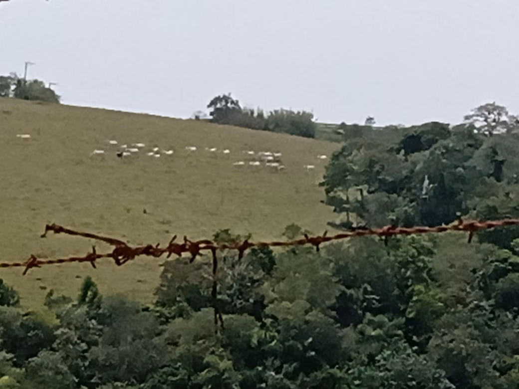Small farm of 42 acres in São Miguel Arcanjo, SP, Brazil