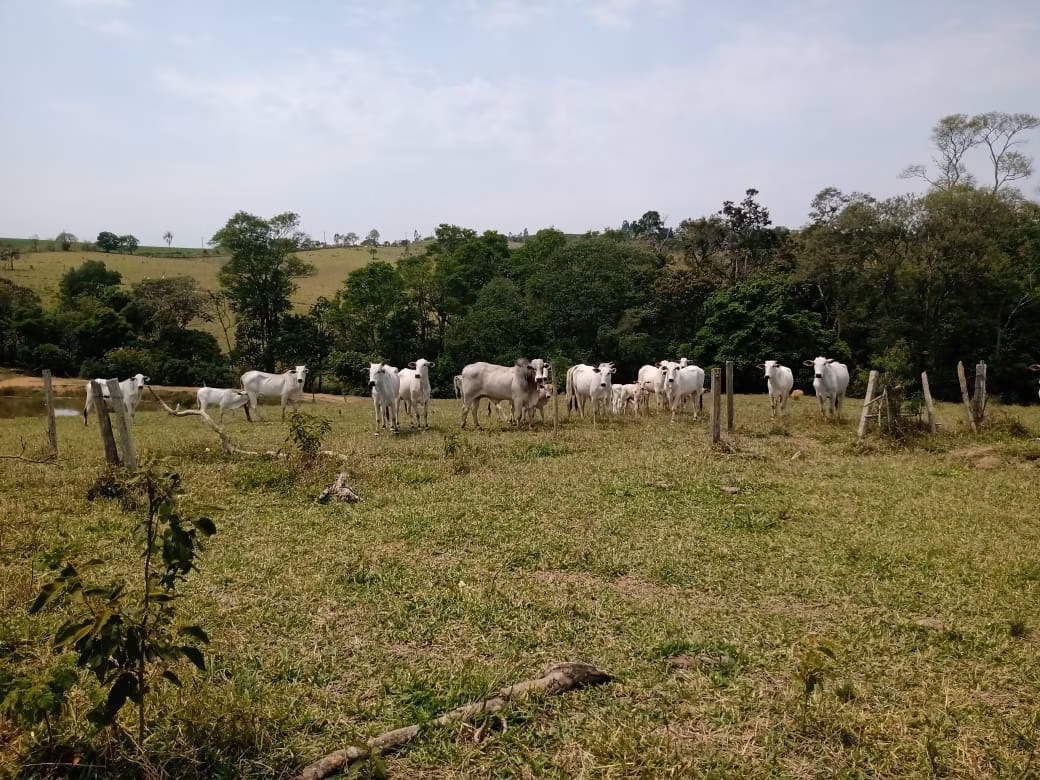 Sítio de 17 ha em São Miguel Arcanjo, SP