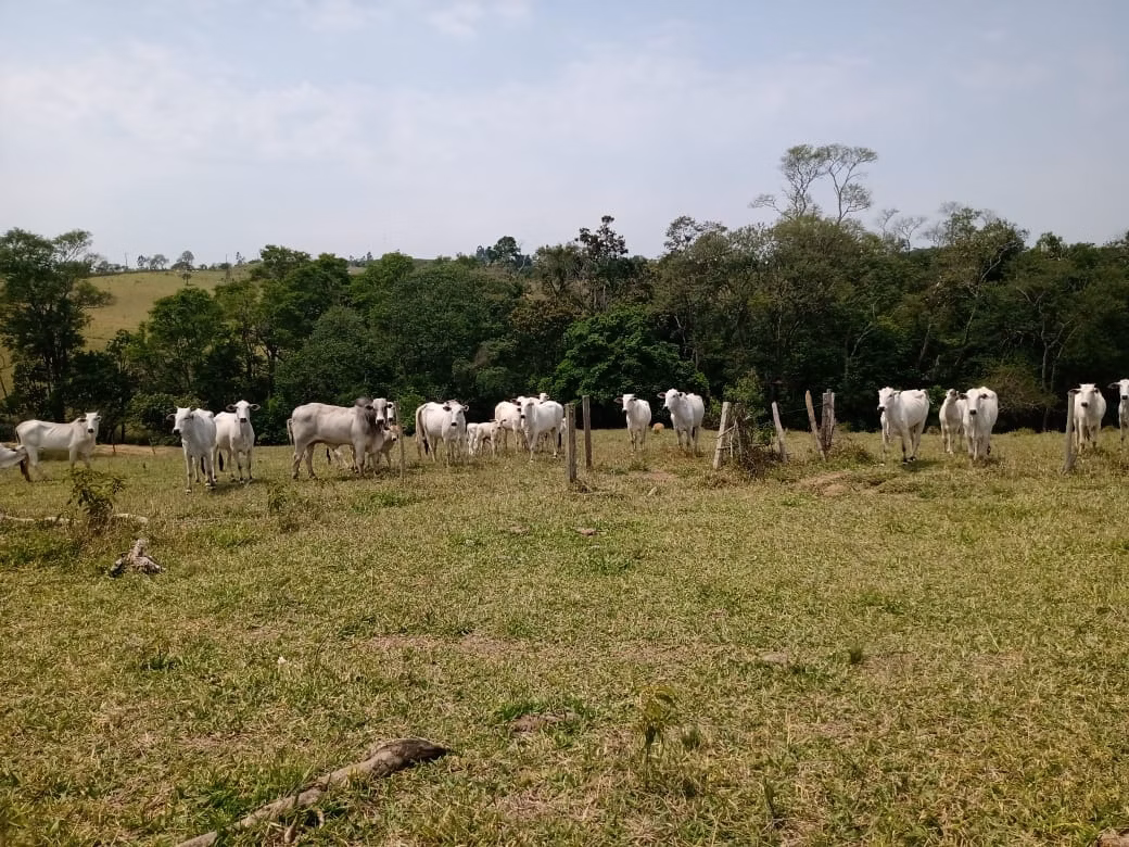 Sítio de 17 ha em São Miguel Arcanjo, SP
