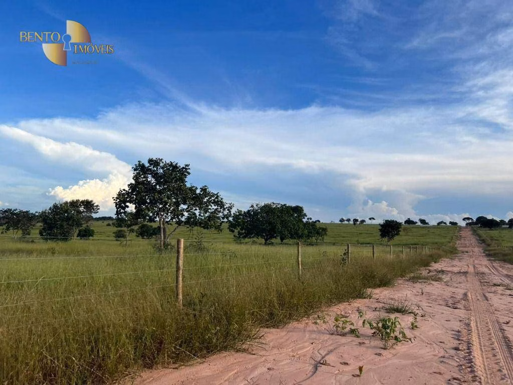 Fazenda de 3.300 ha em Pintópolis, MG