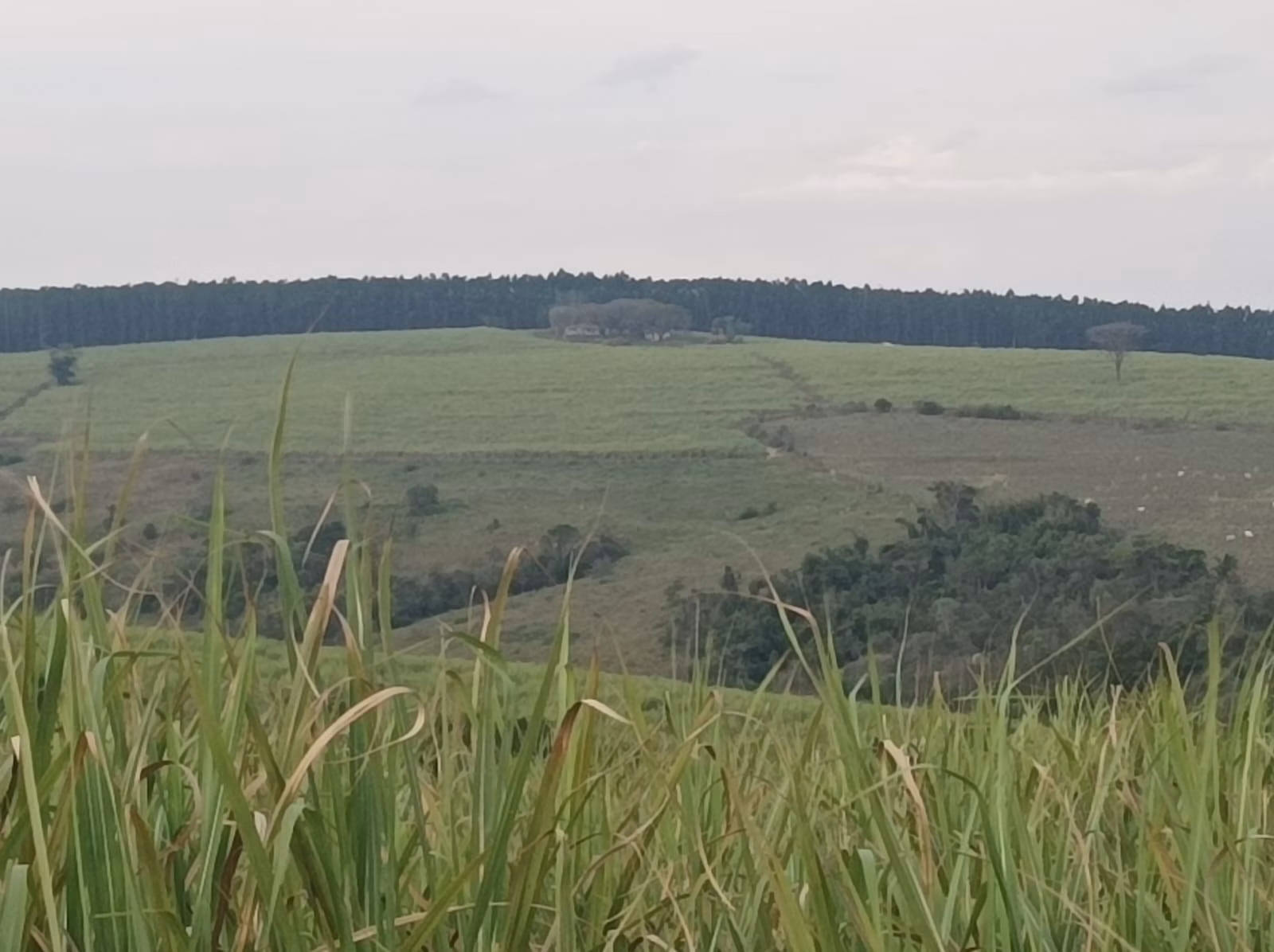 Fazenda de 235 ha em Piracicaba, SP