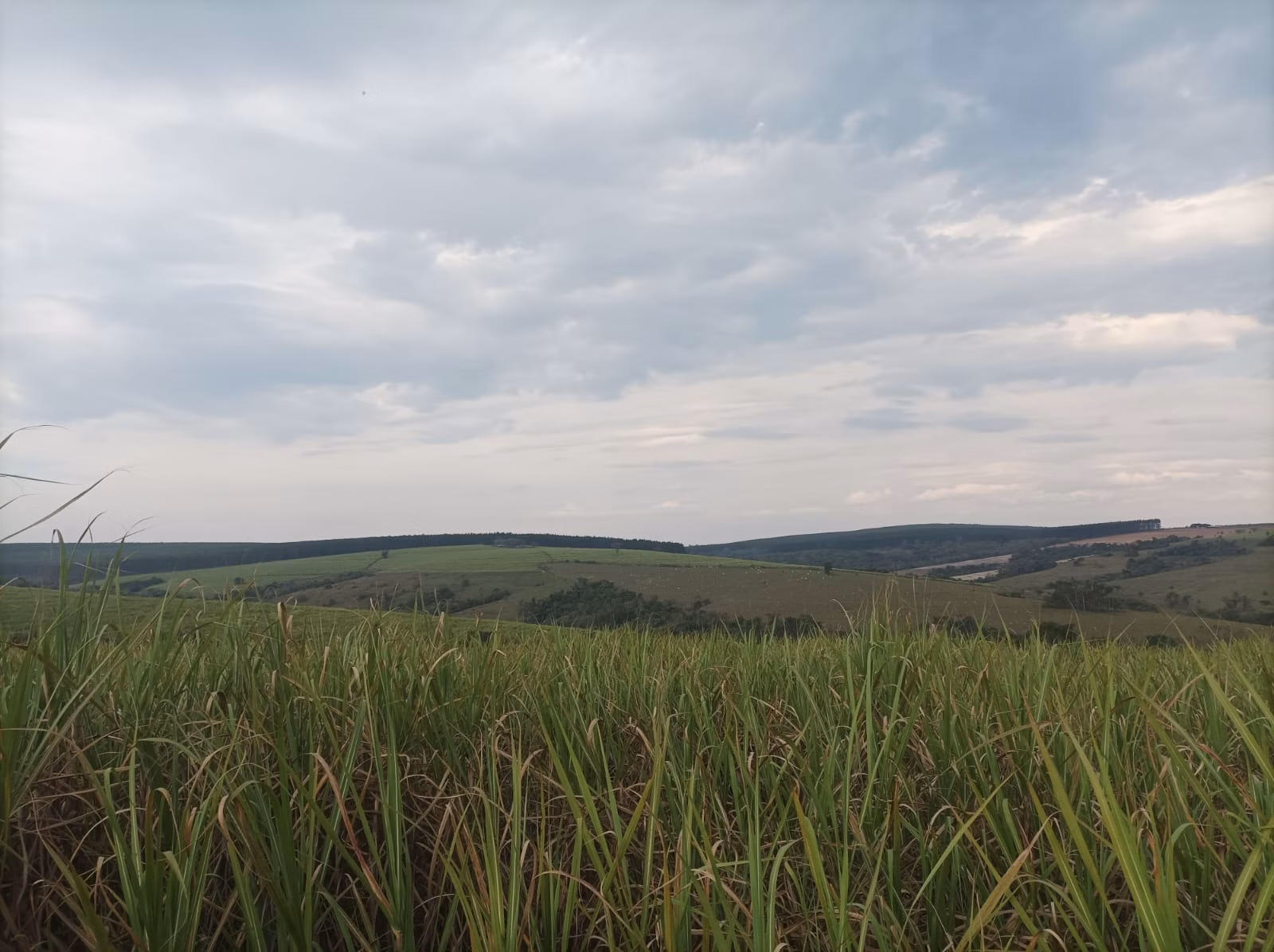 Fazenda de 235 ha em Piracicaba, SP