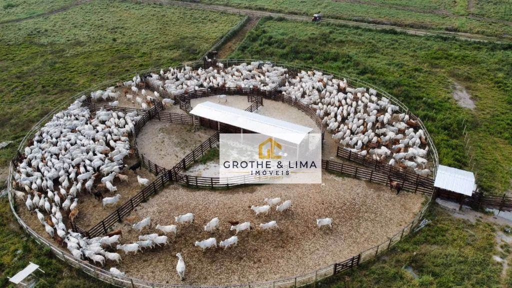 Fazenda de 395 ha em São José dos Campos, SP