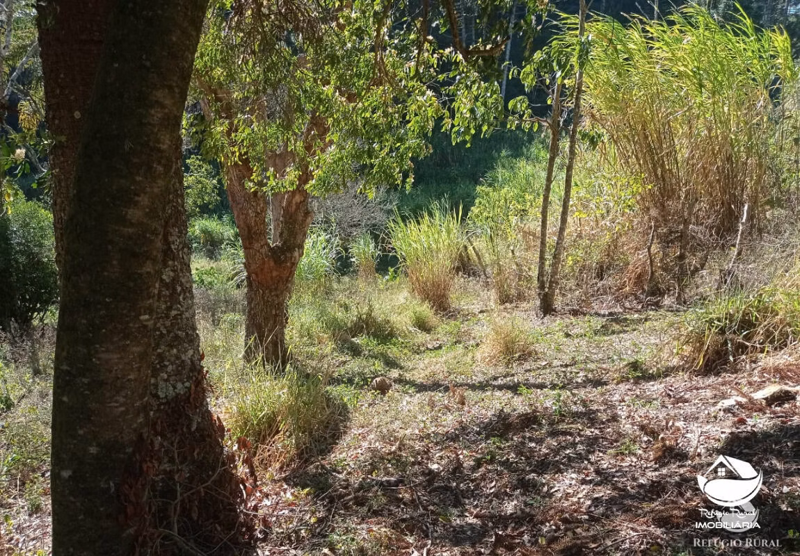 Terreno de 14 ha em São Bento do Sapucaí, SP