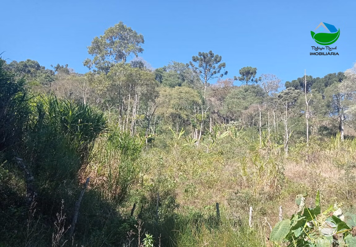 Terreno de 14 ha em São Bento do Sapucaí, SP