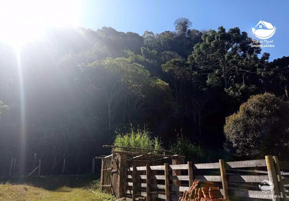 Terreno de 14 ha em São Bento do Sapucaí, SP