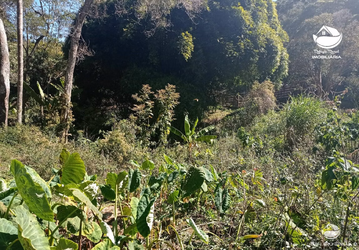 Terreno de 14 ha em São Bento do Sapucaí, SP