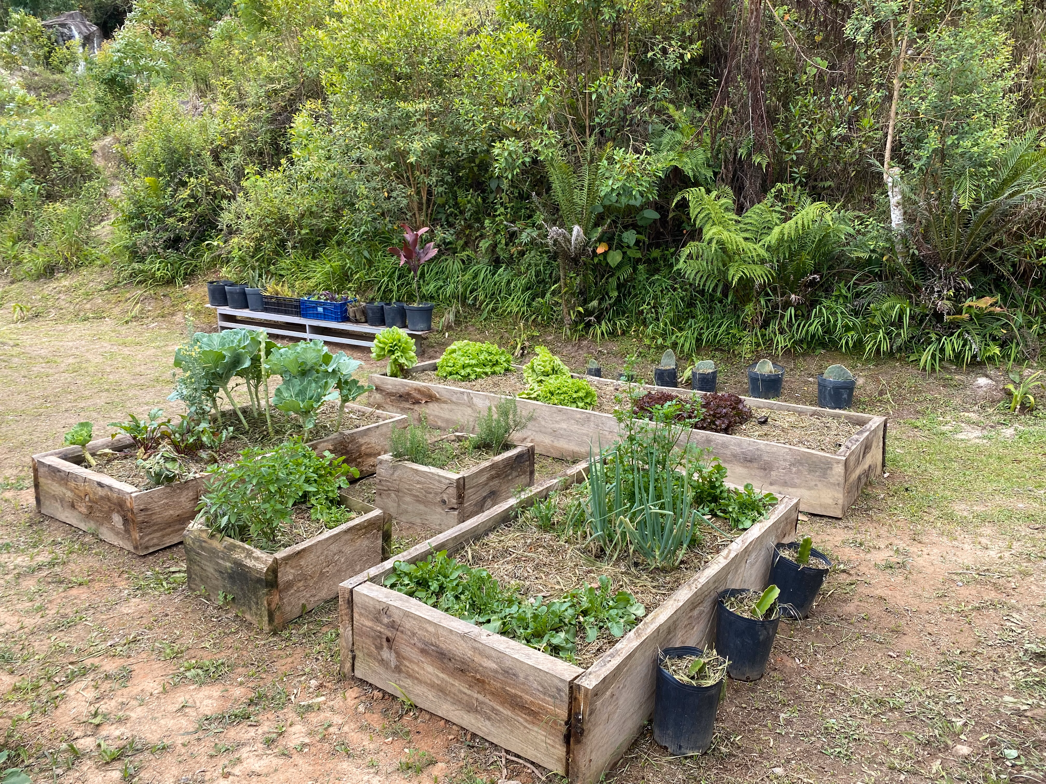 Fazenda de 19 ha em São Roque, SP