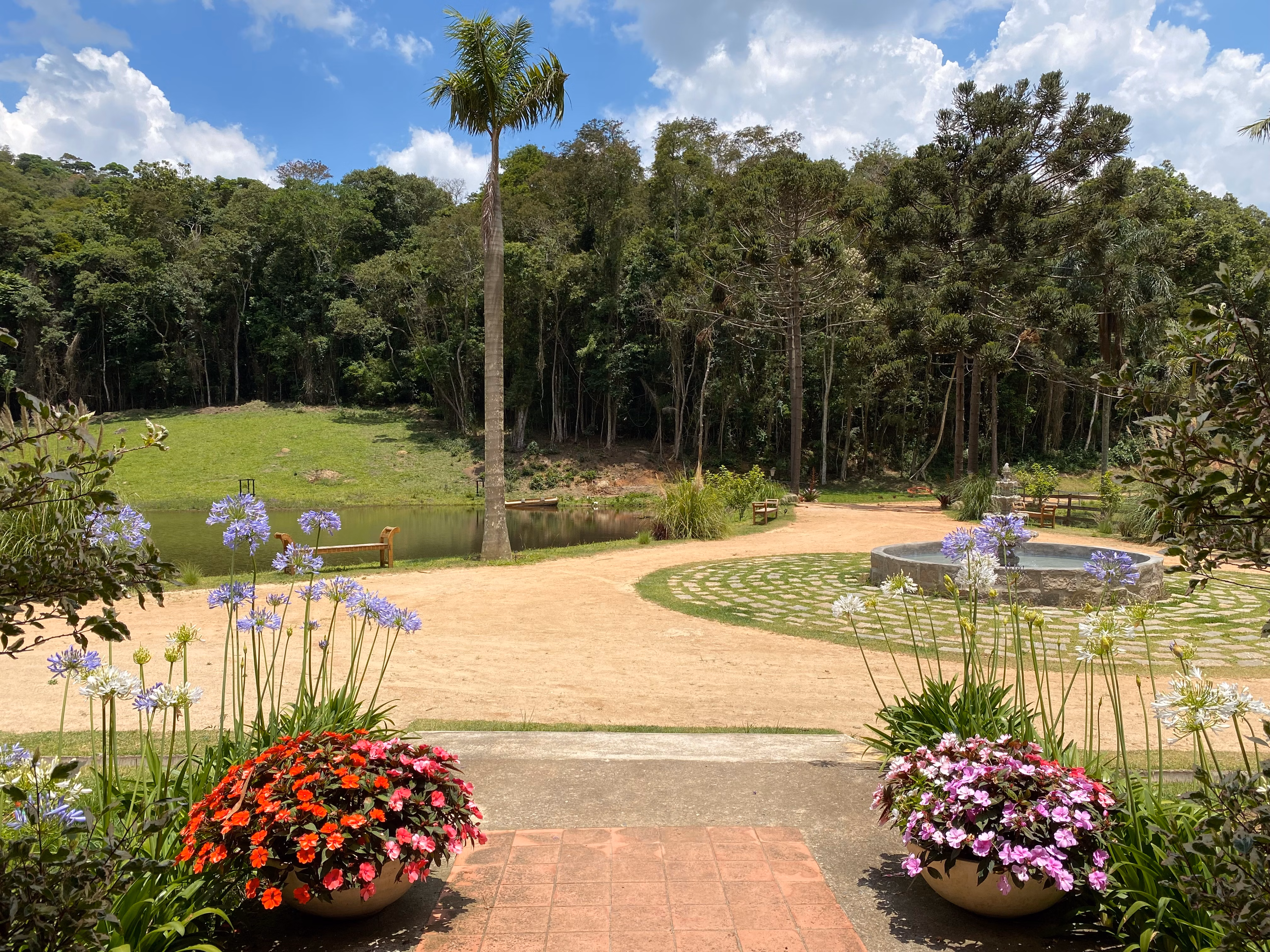Fazenda de 19 ha em São Roque, SP