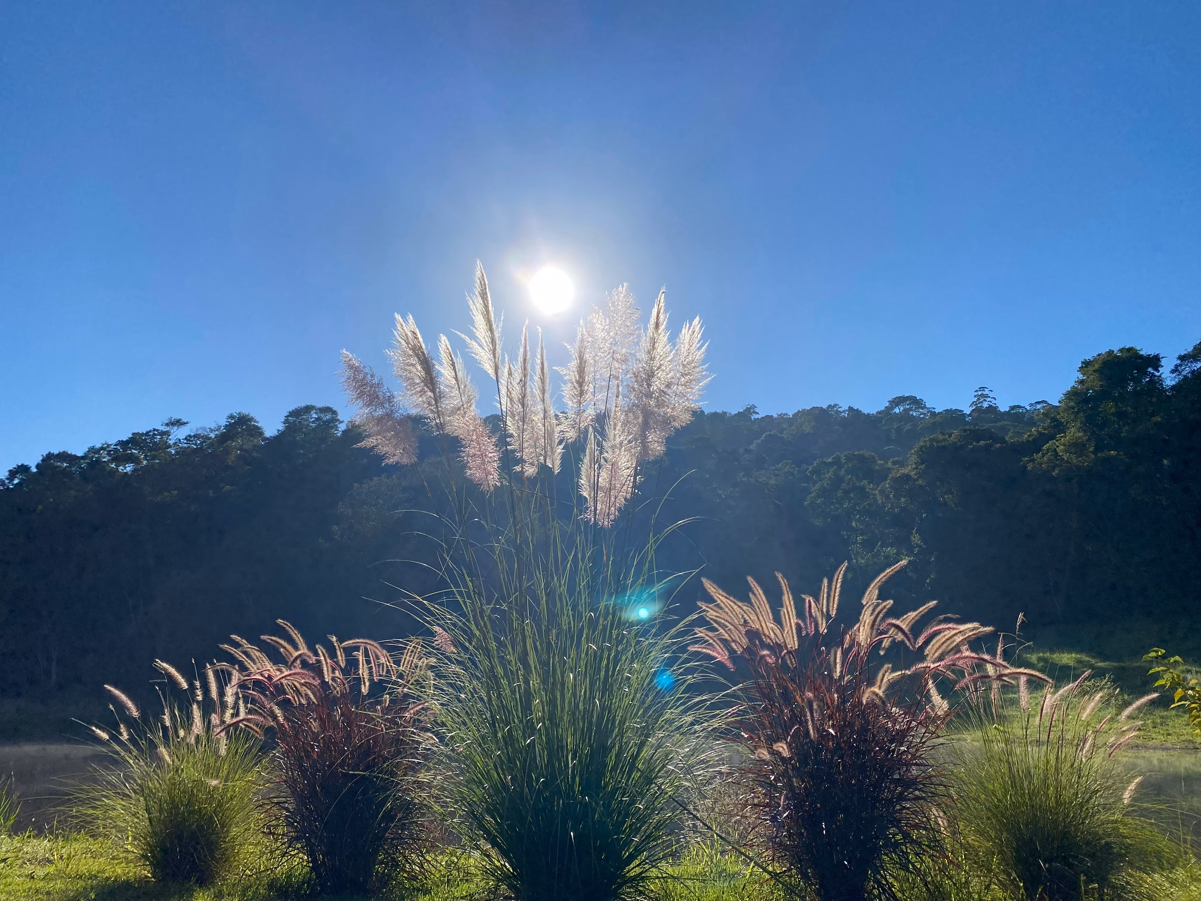 Fazenda de 19 ha em São Roque, SP