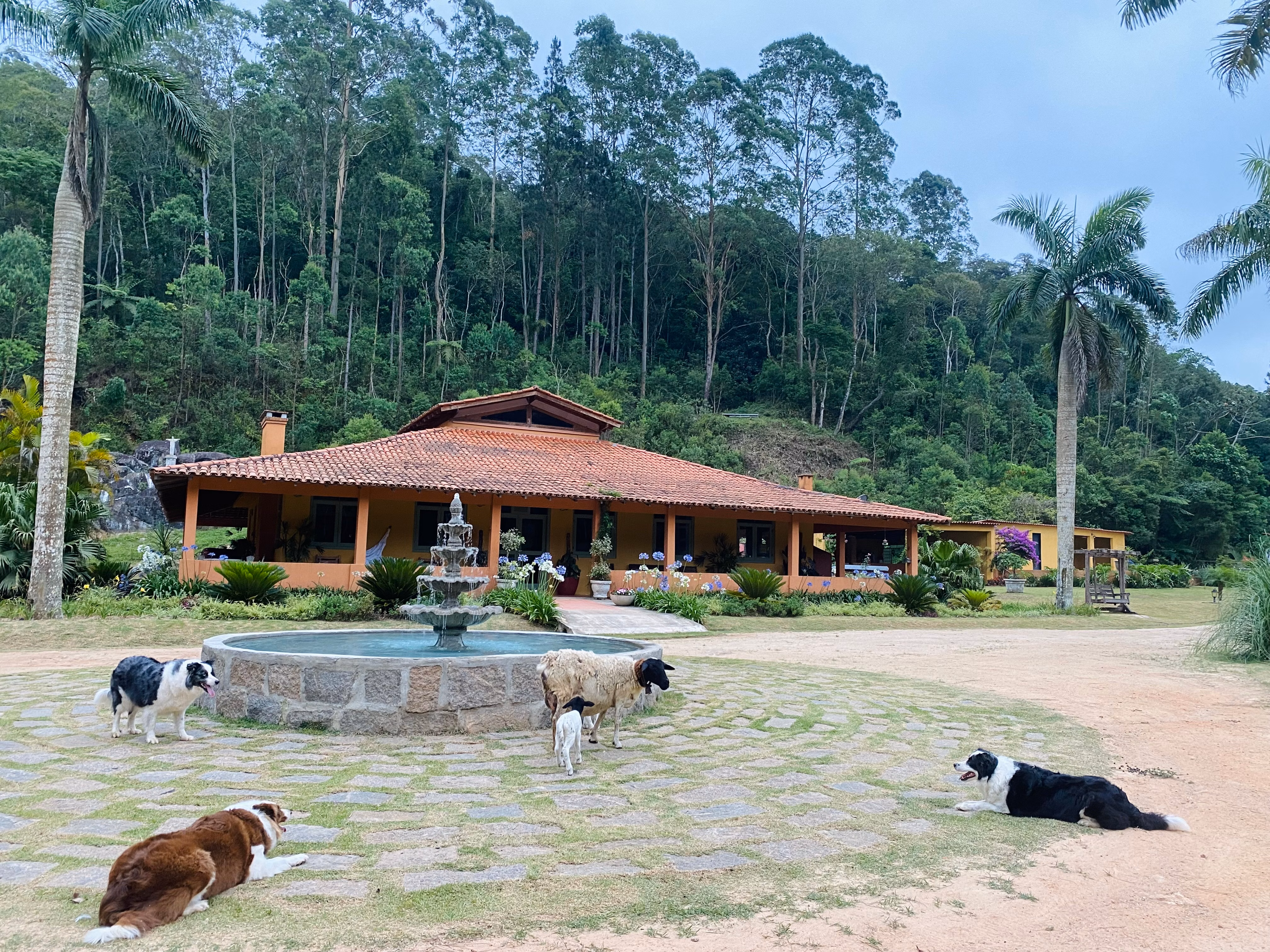 Fazenda de 19 ha em São Roque, SP