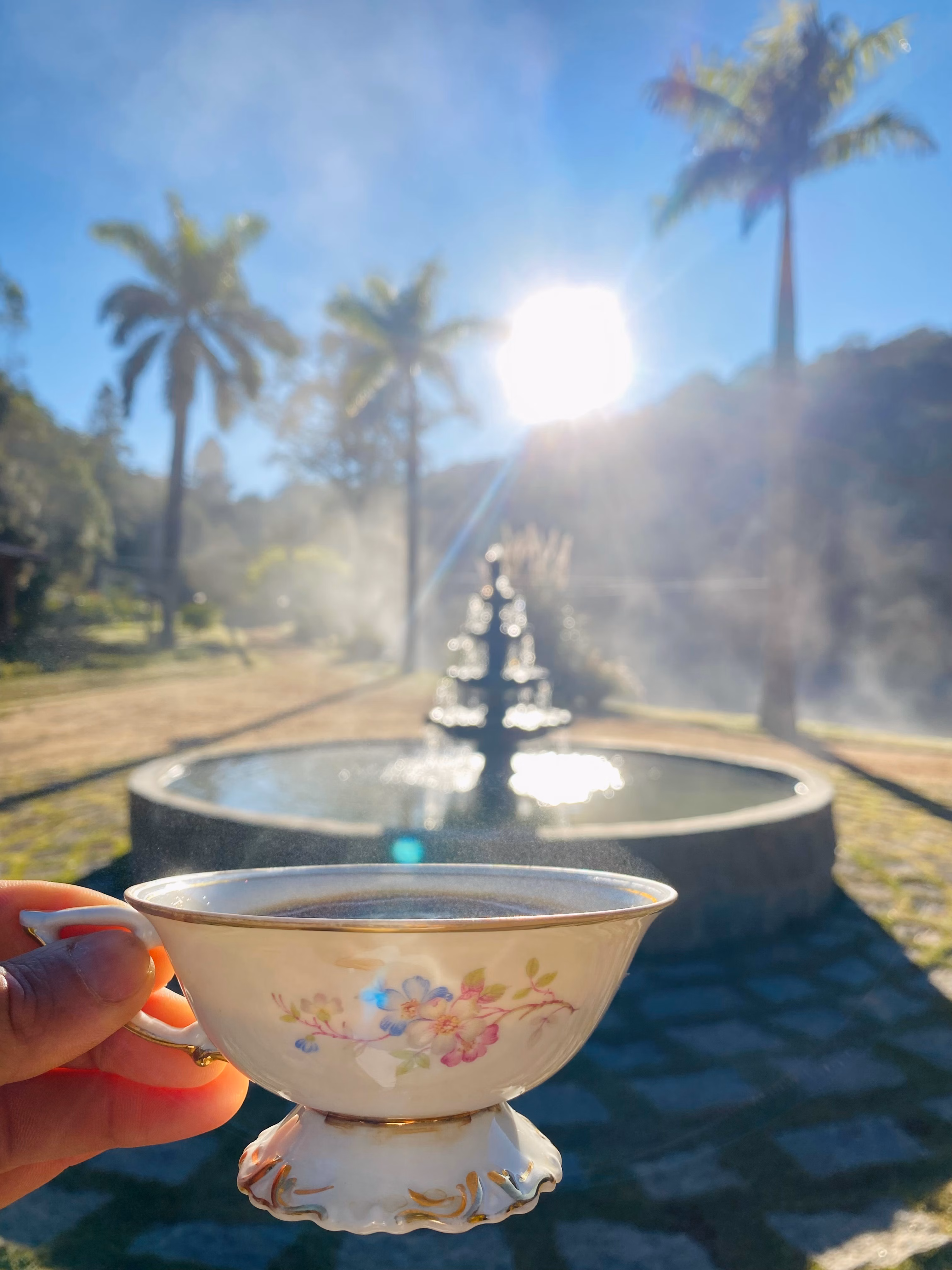 Fazenda de 19 ha em São Roque, SP