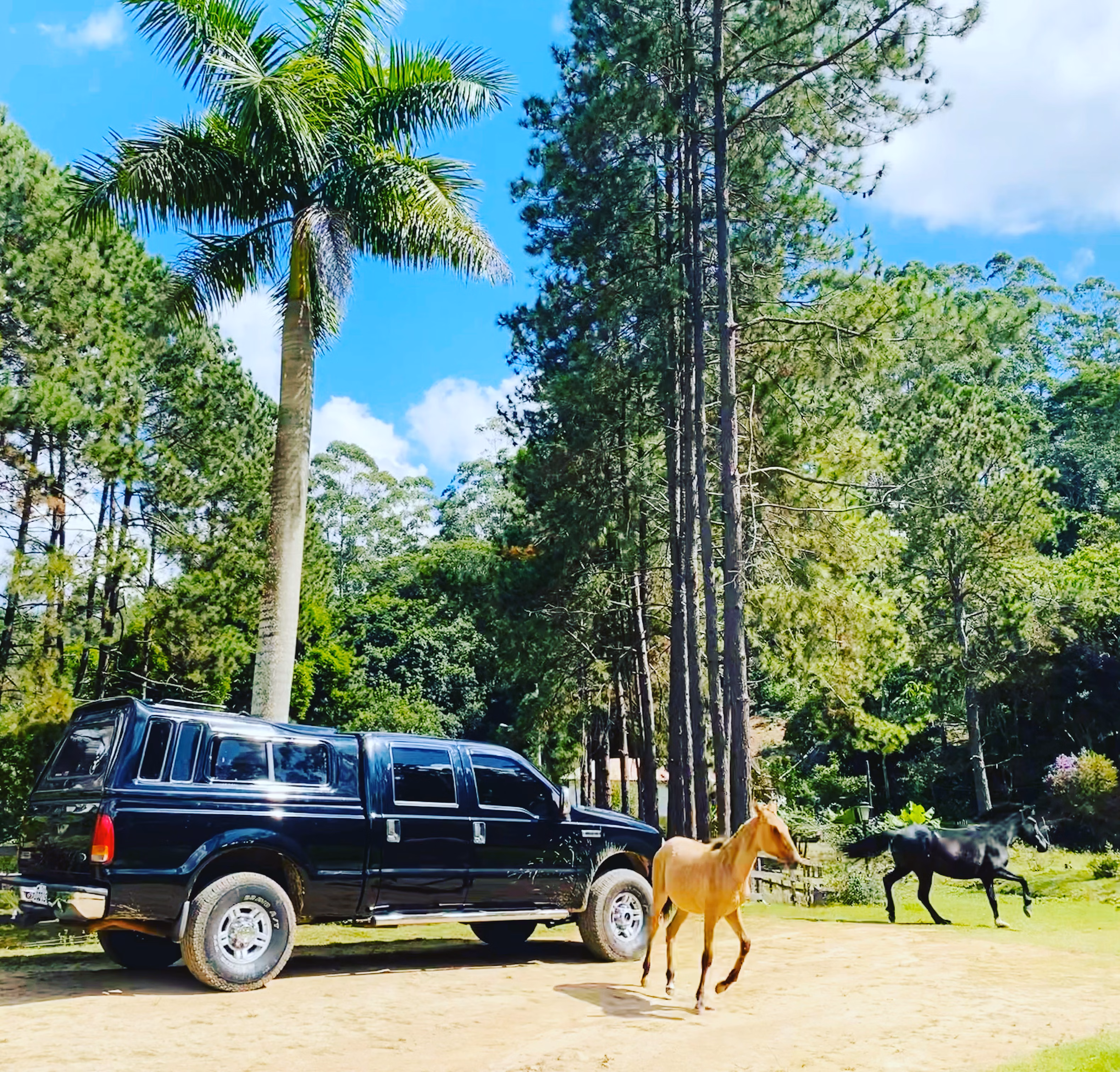 Fazenda de 19 ha em São Roque, SP