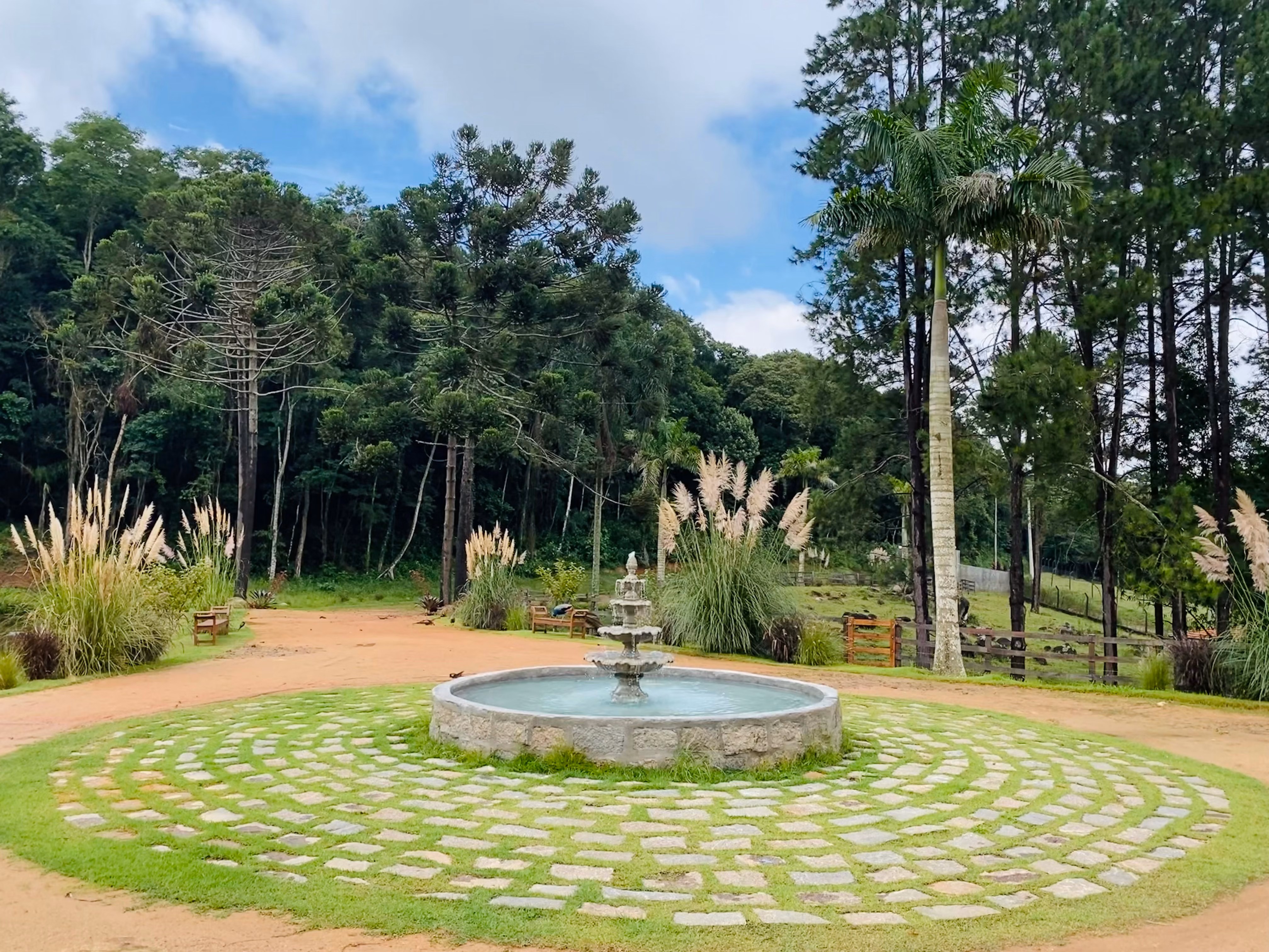 Fazenda de 19 ha em São Roque, SP