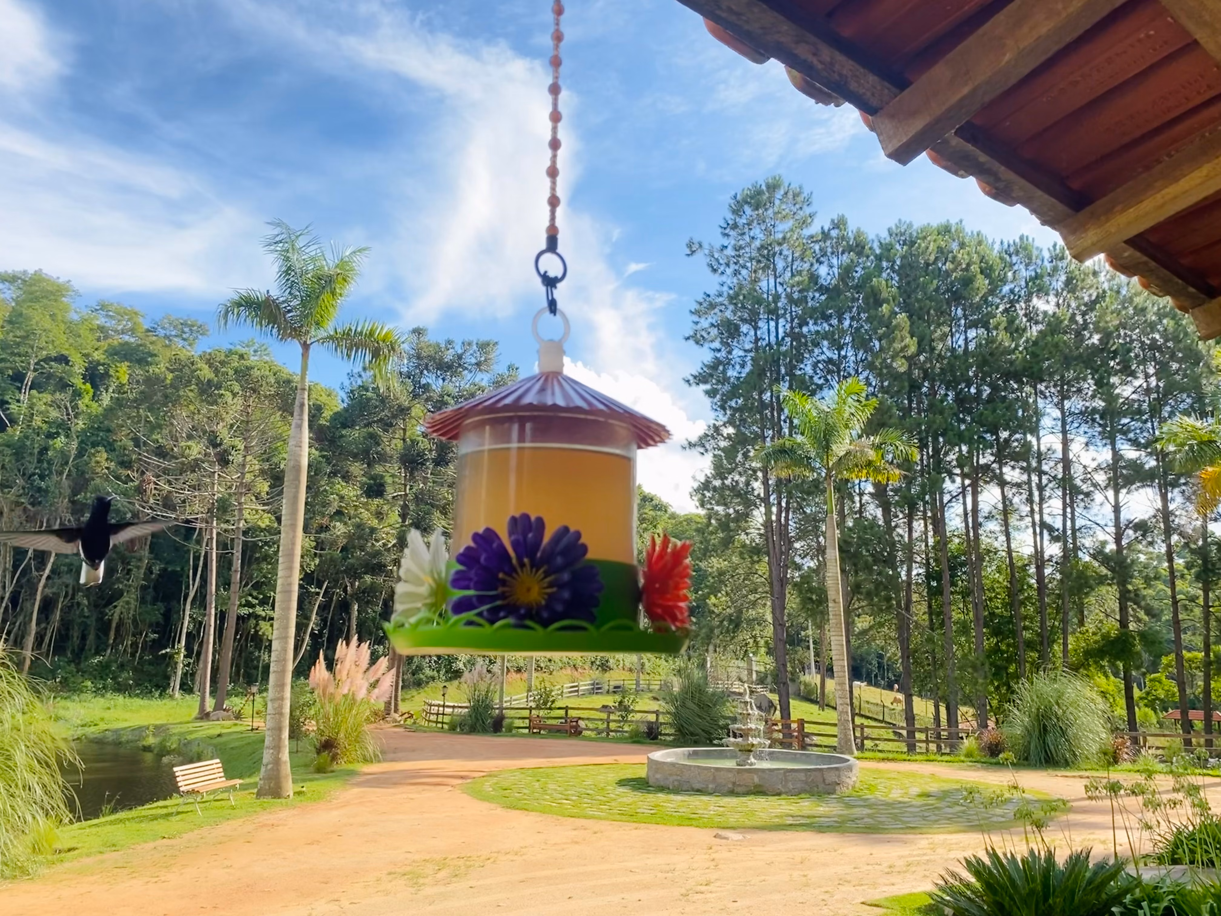 Fazenda de 19 ha em São Roque, SP
