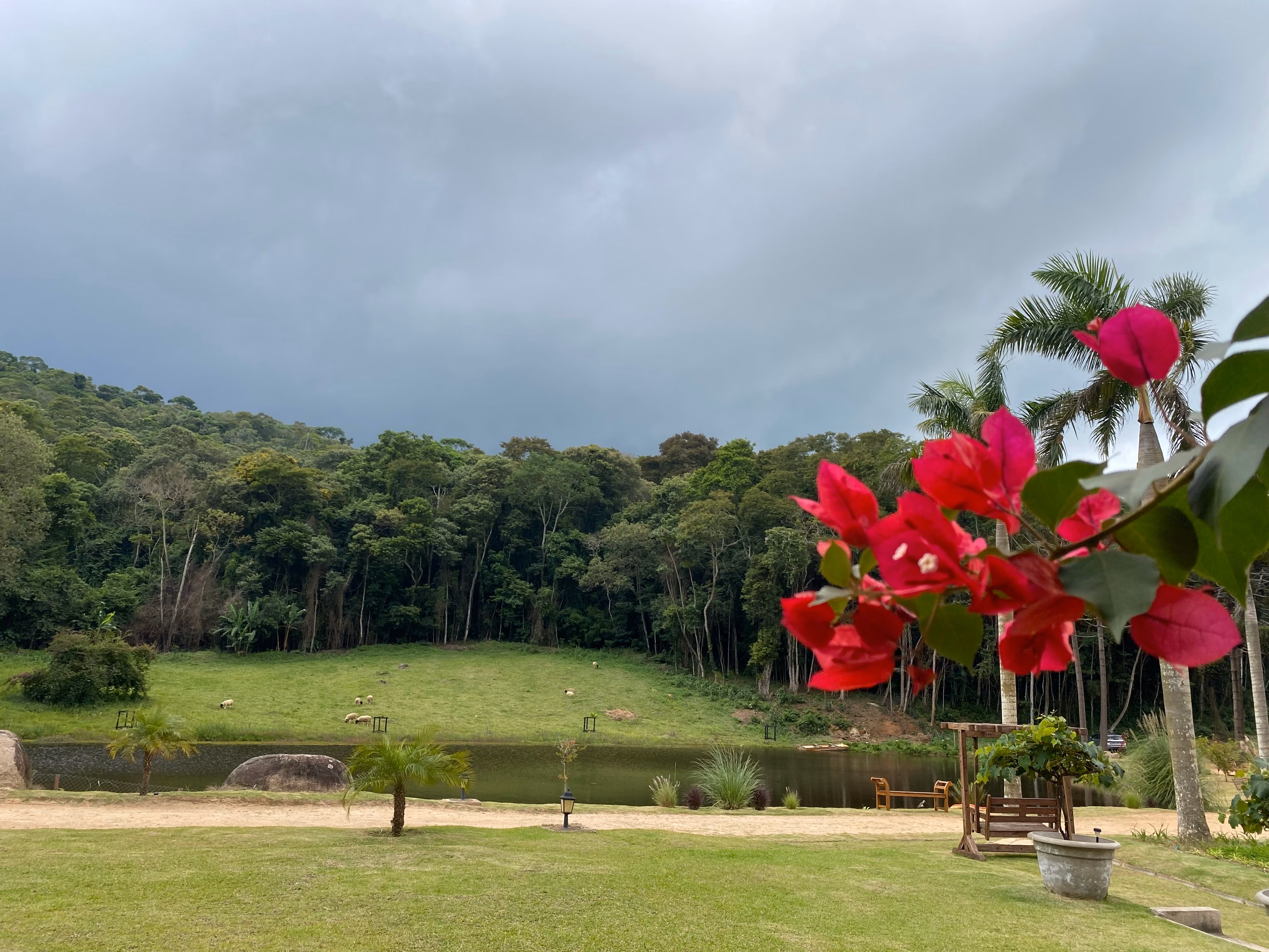 Fazenda de 19 ha em São Roque, SP