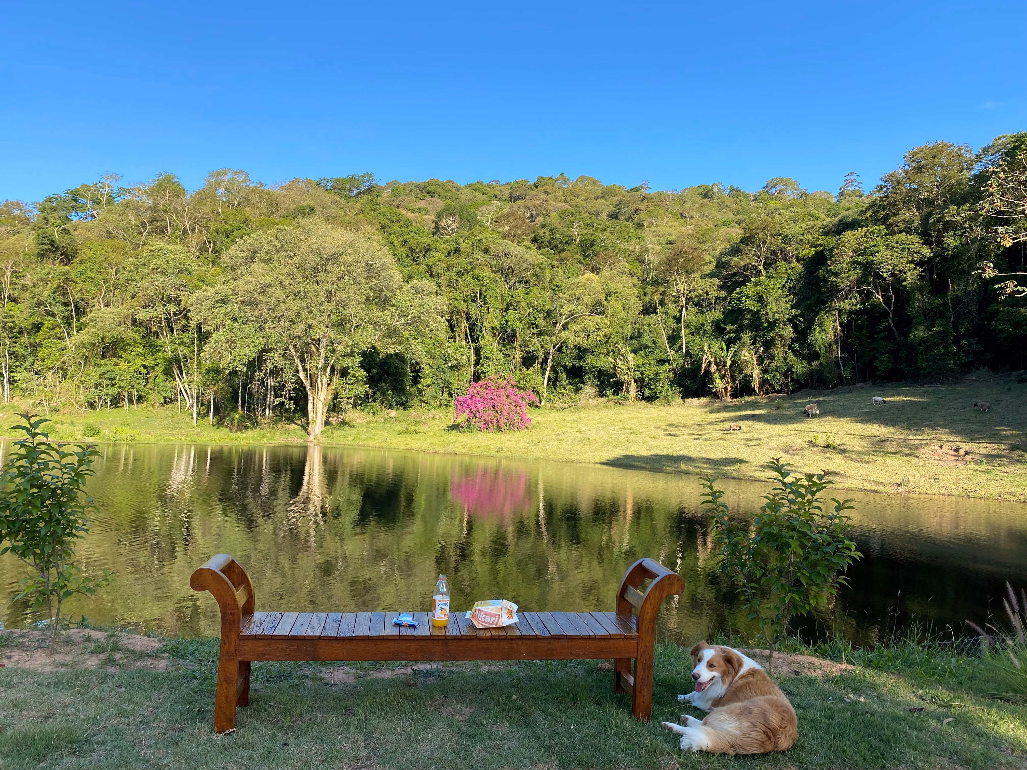 Fazenda de 19 ha em São Roque, SP