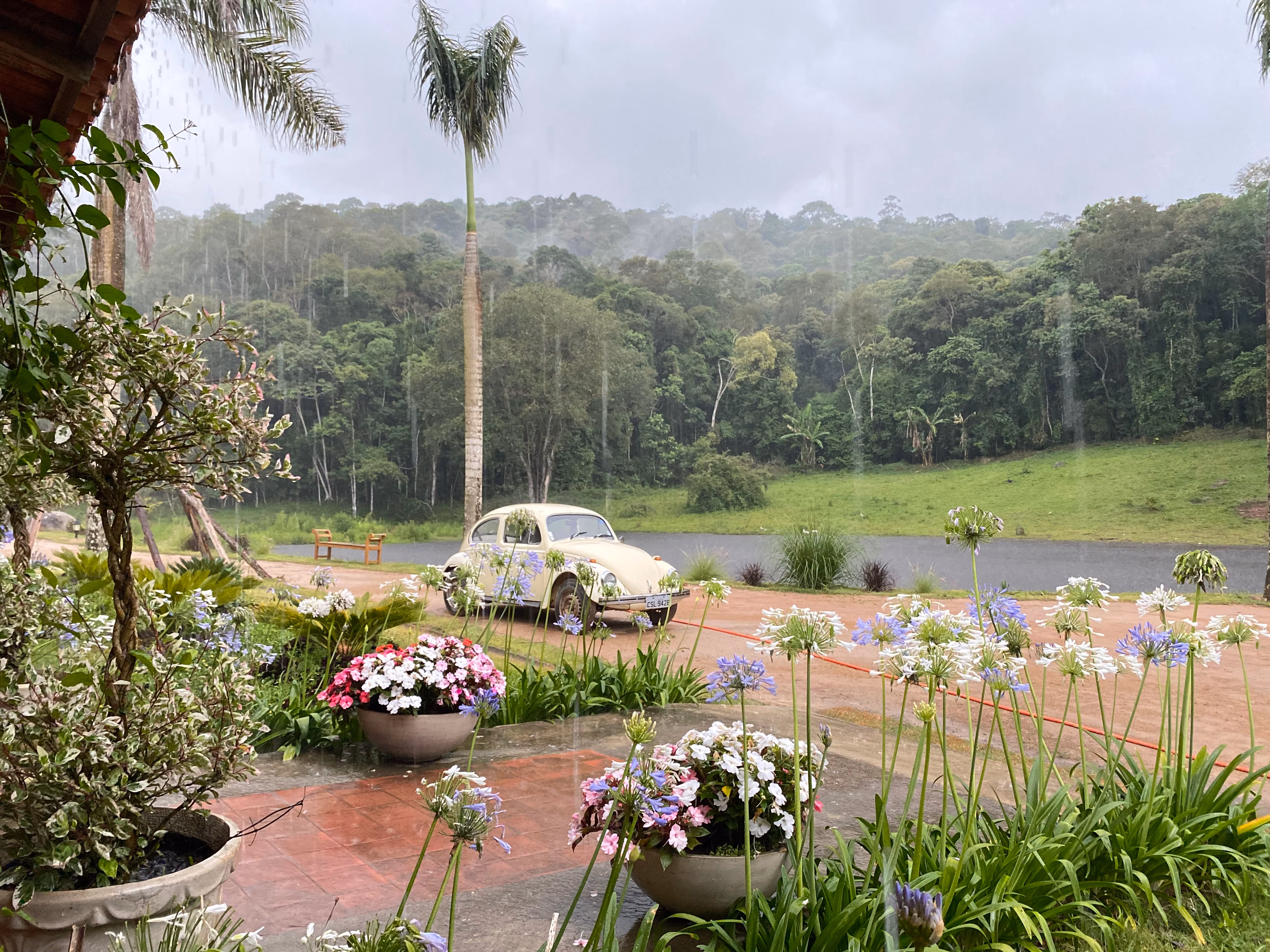 Fazenda de 19 ha em São Roque, SP
