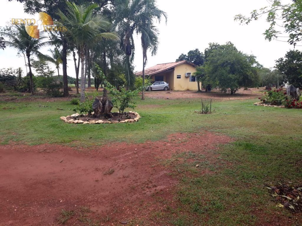 Fazenda de 2.000 ha em Nossa Senhora do Livramento, MT