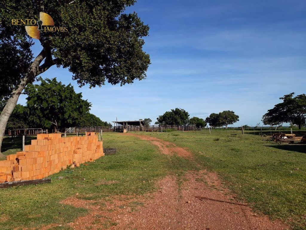 Fazenda de 2.000 ha em Nossa Senhora do Livramento, MT