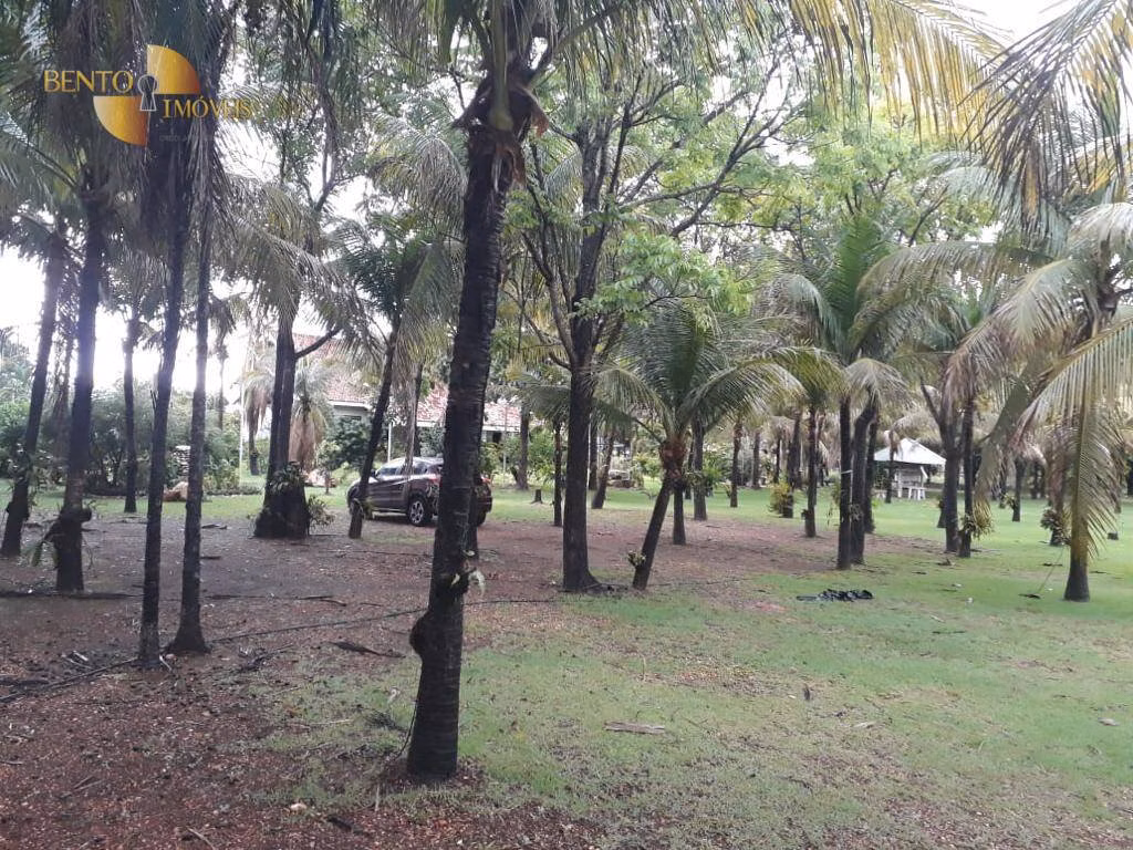 Fazenda de 2.000 ha em Nossa Senhora do Livramento, MT