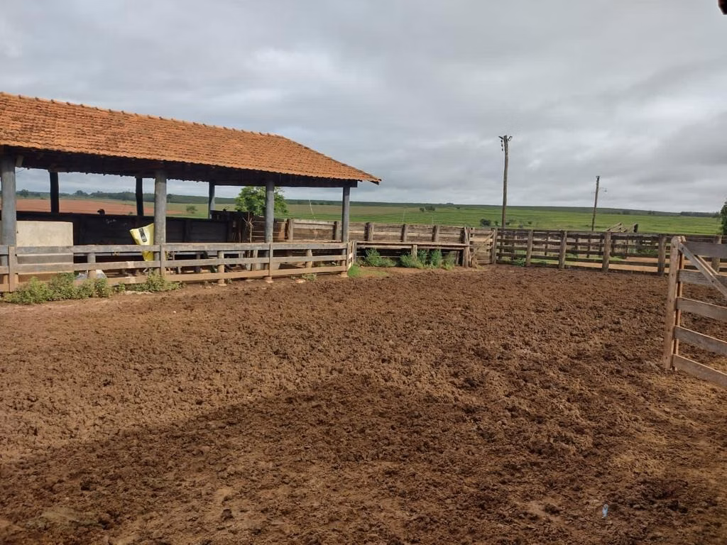 Fazenda de 595 ha em Guzolândia, SP