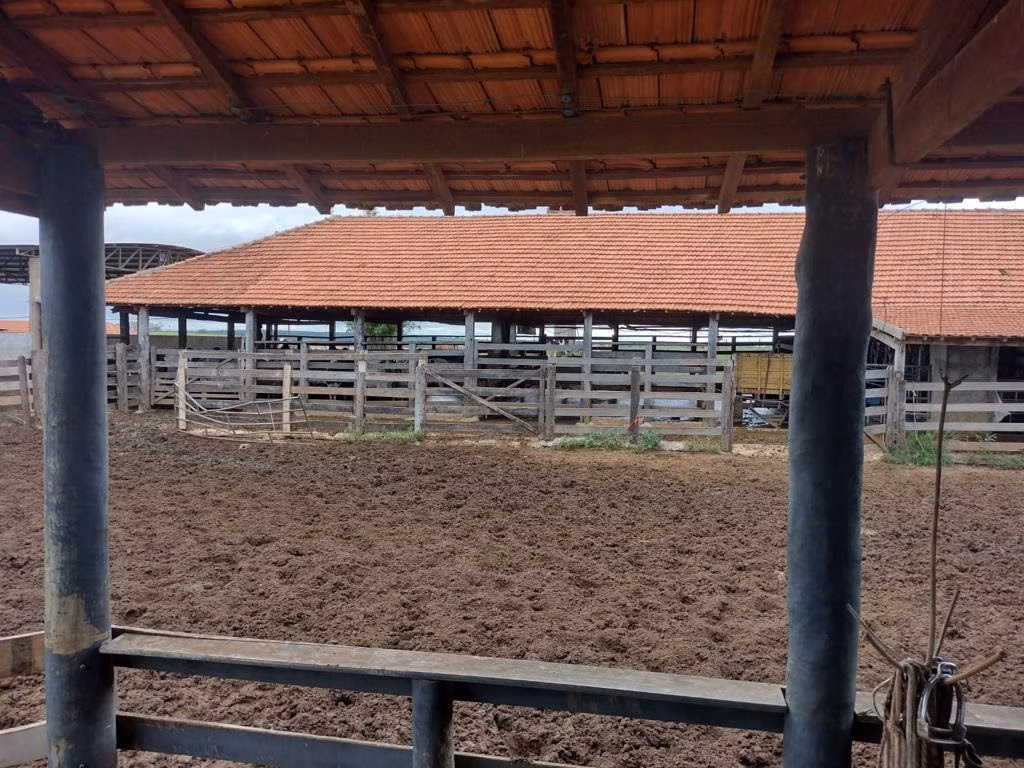 Fazenda de 595 ha em Guzolândia, SP
