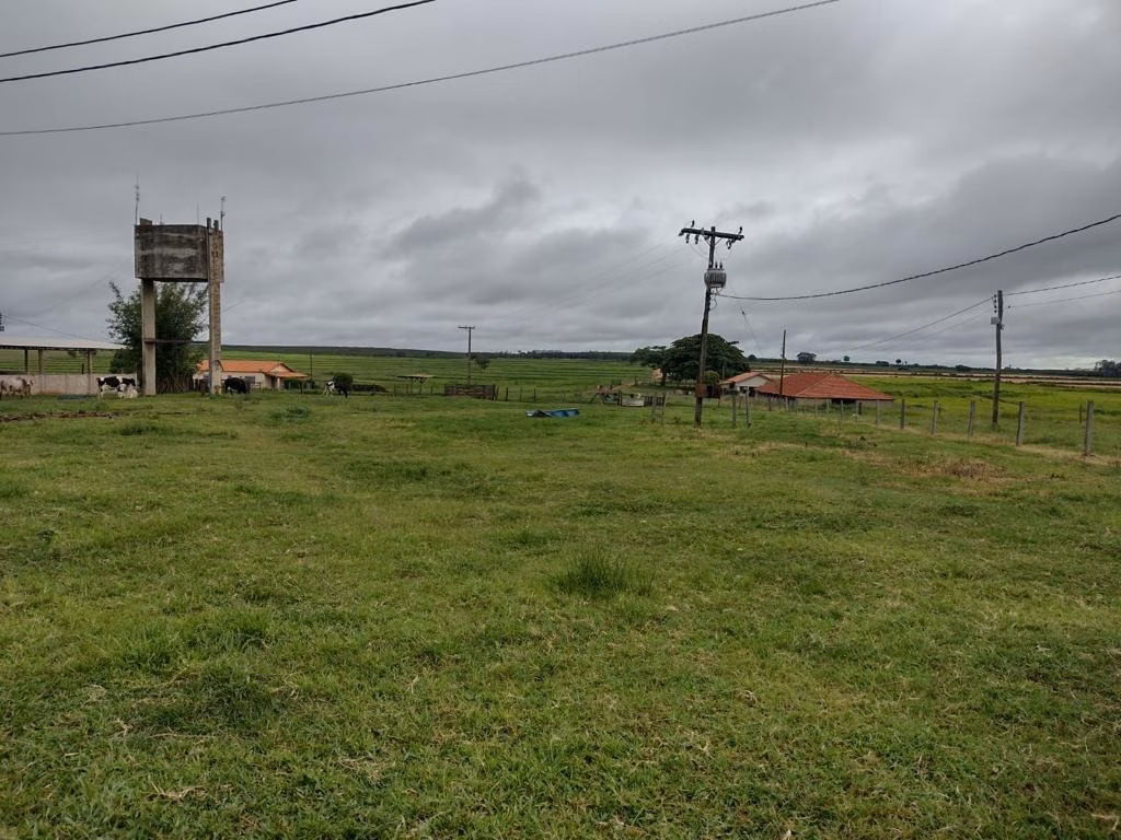 Fazenda de 595 ha em Guzolândia, SP