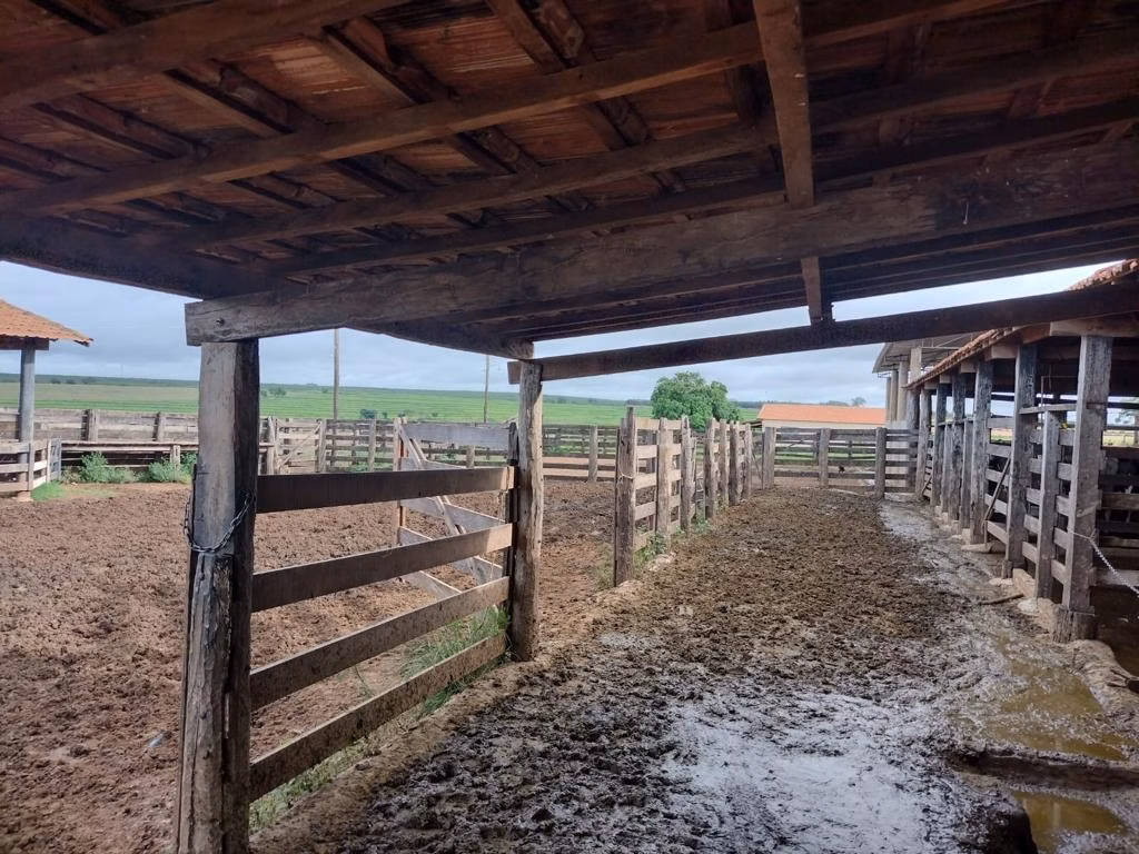 Fazenda de 595 ha em Guzolândia, SP
