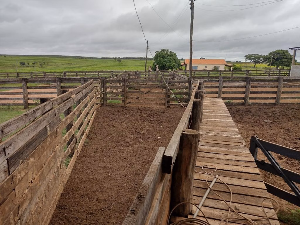 Fazenda de 595 ha em Guzolândia, SP