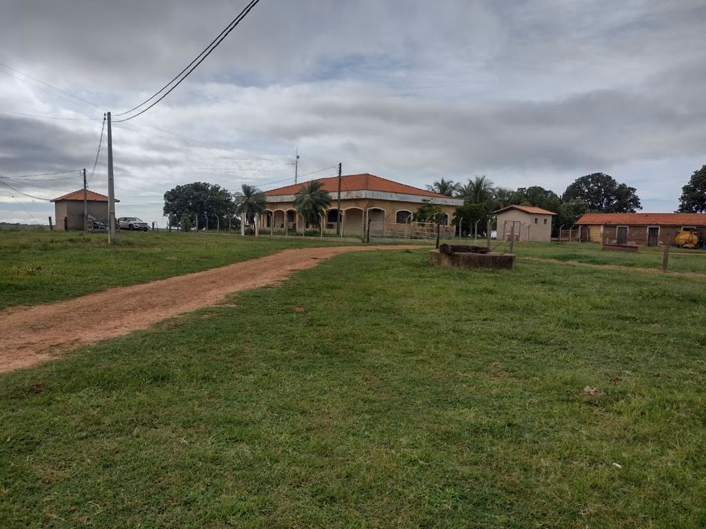 Fazenda de 595 ha em Guzolândia, SP