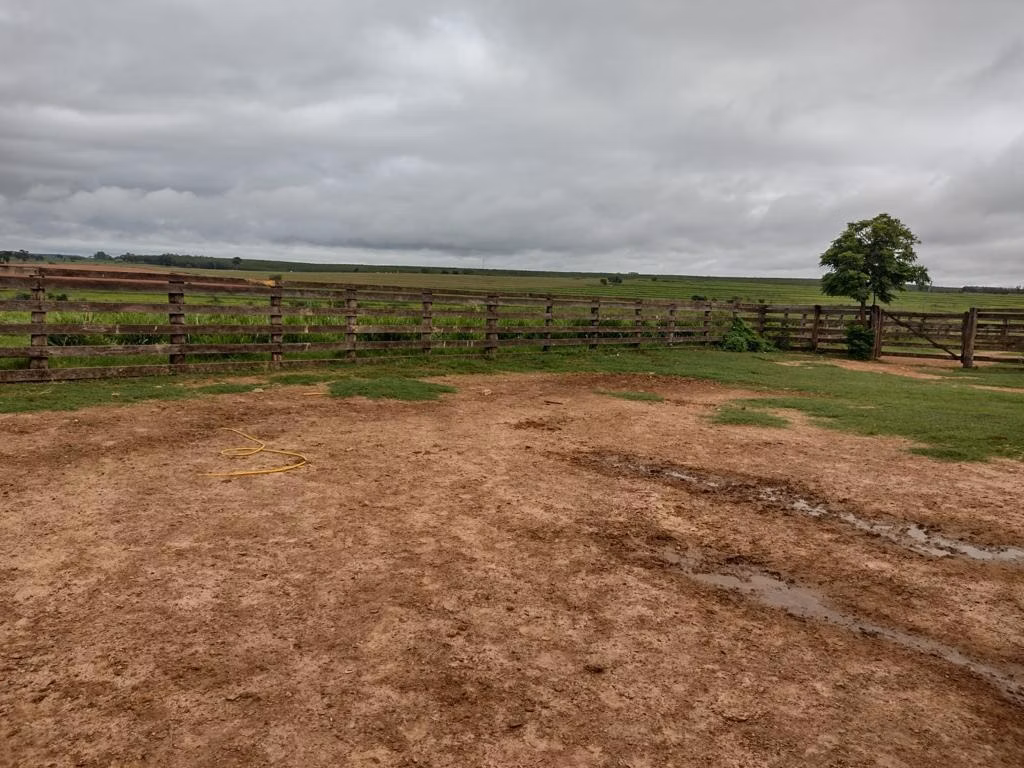 Fazenda de 595 ha em Guzolândia, SP