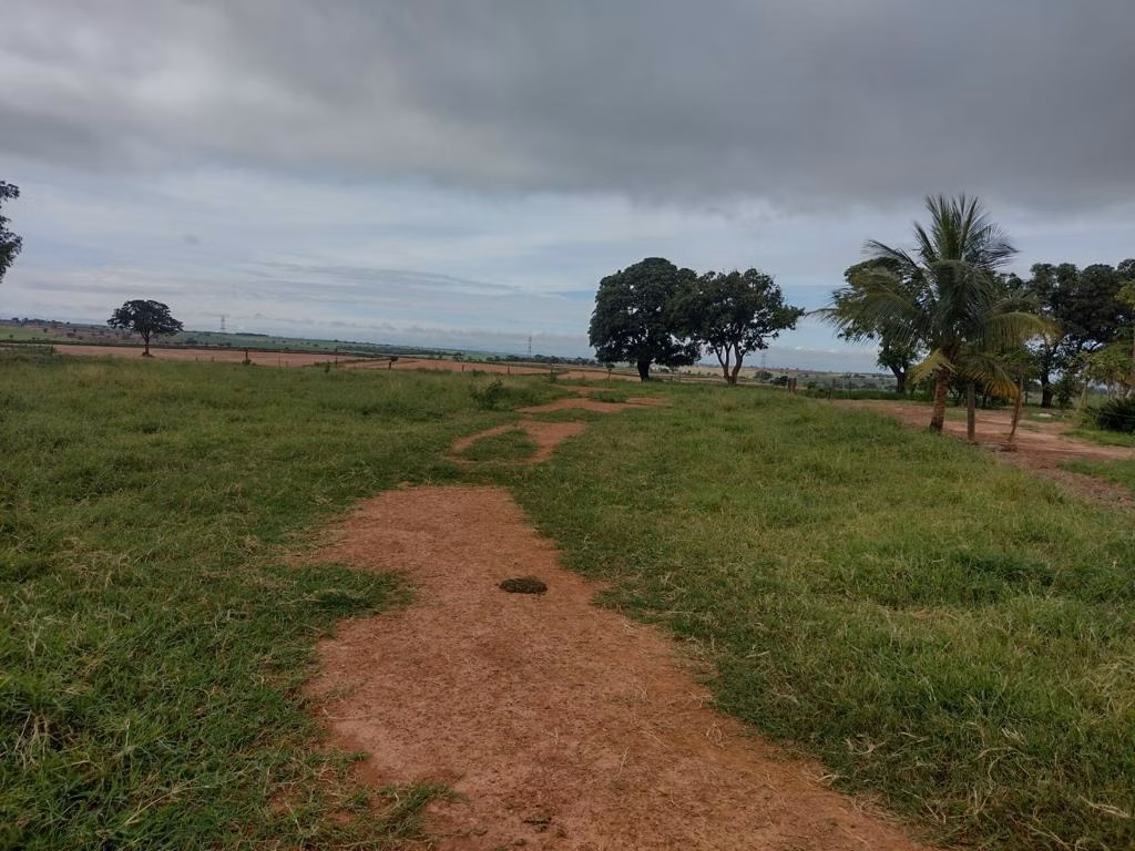 Fazenda de 595 ha em Guzolândia, SP