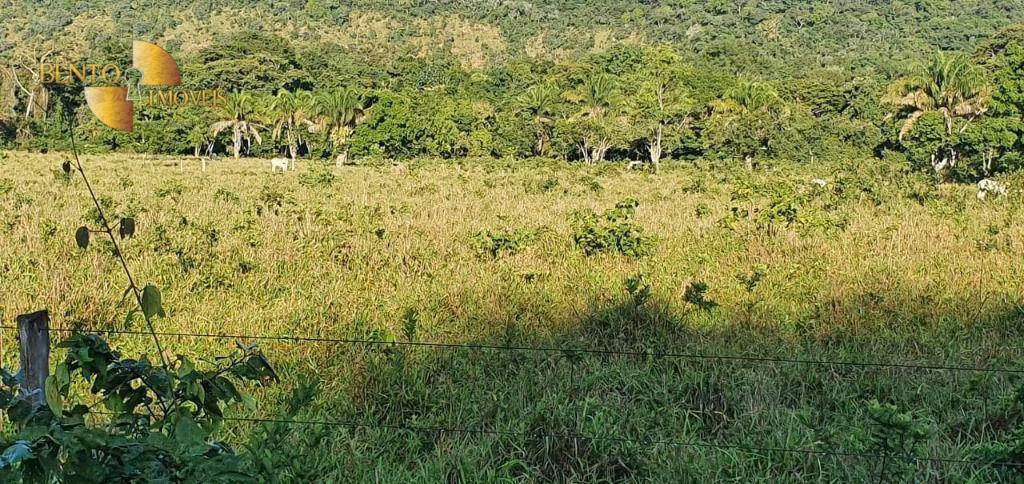 Fazenda de 1.764 ha em Cáceres, MT