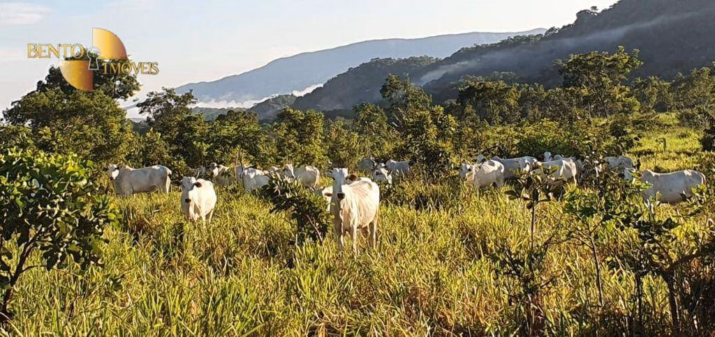 Fazenda de 1.764 ha em Cáceres, MT